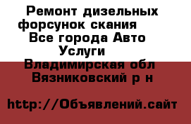 Ремонт дизельных форсунок скания HPI - Все города Авто » Услуги   . Владимирская обл.,Вязниковский р-н